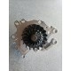 Pompa Acqua Peugeot Ford Citroen Z16001023 2189253 1628941780 3557013 9825002180