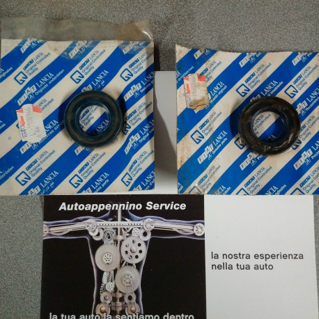 Paraolio fiat panda 141 4x4